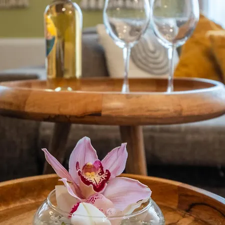 Renovated Boutique Petrus Daire Sofya