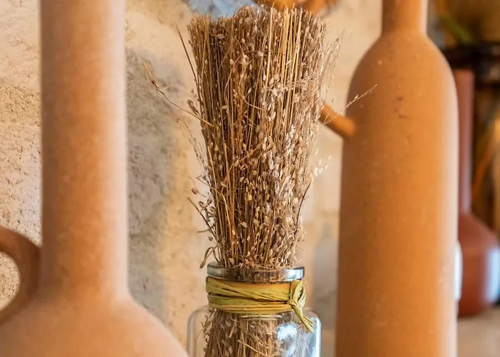 Renovated Boutique Petrus * 索菲亞